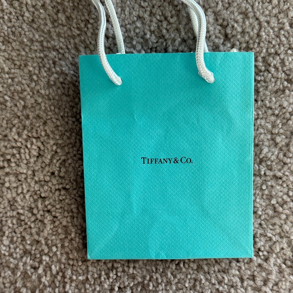 Tiffany & Co. Blue Gift Bag with White Handles
